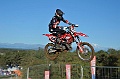 _ROB6735 (Copy)
